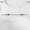 Комплект унитаза Owl 1975 Vind OWLT190302 с инсталляцией Berges Wasserhaus Novum L3 040213 с сиденьем Микролифт и клавишей смыва Хром